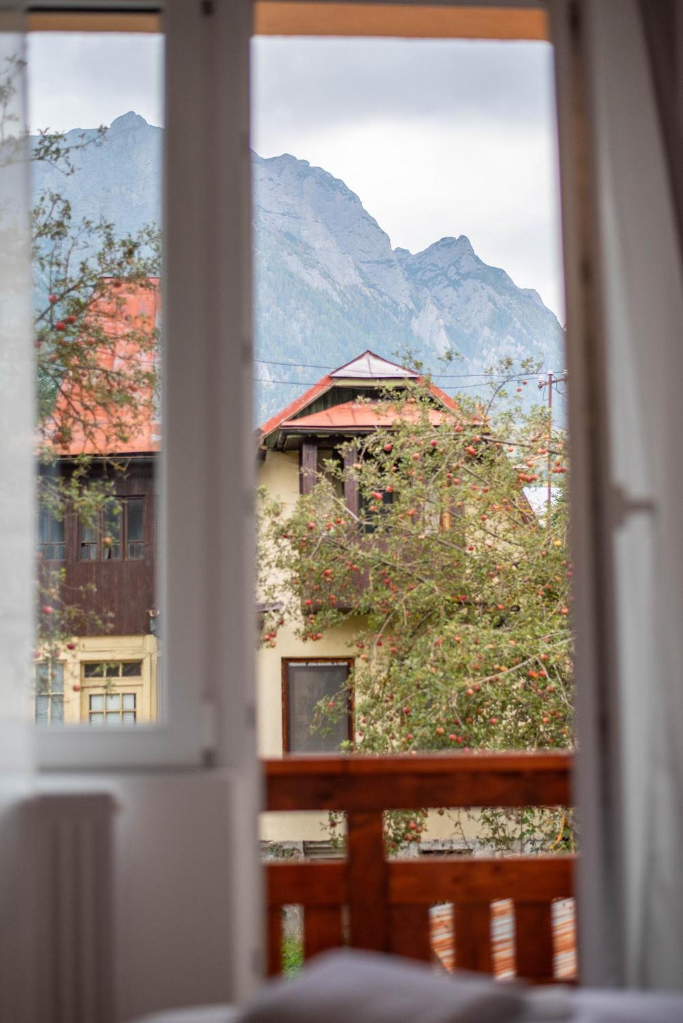 Casa Bucegi Buşteni Exterior foto